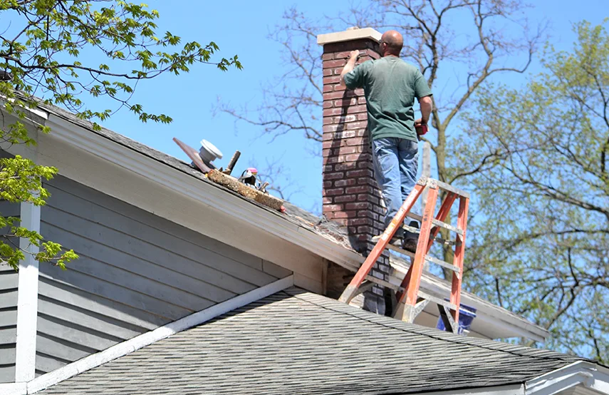 Chimney & Fireplace Inspections Services in Wantagh, NY